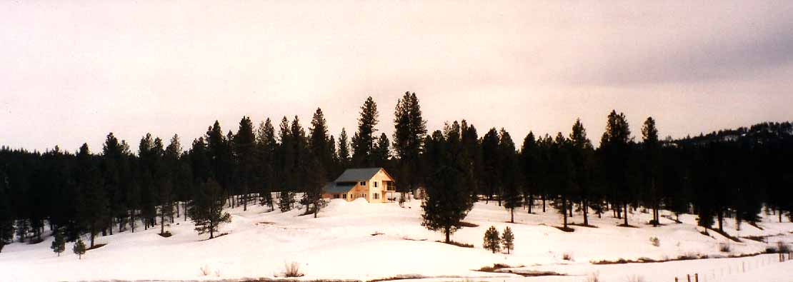 Cabin Panorama #1